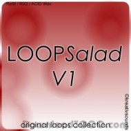 LOOPSalad V1 screenshot